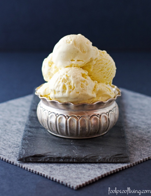 Vanilla-Bean-Ice-cream-1656-FL